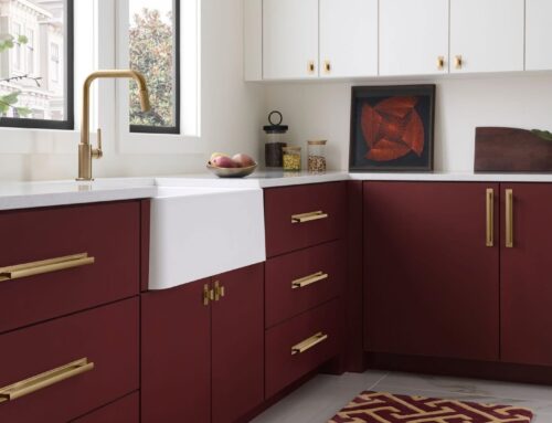 Small Details, Big Impact: Upgrade Your Cabinets with the Zander Collection